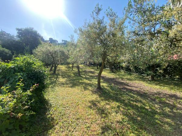 Villa, Teolo — foto 3 di 5