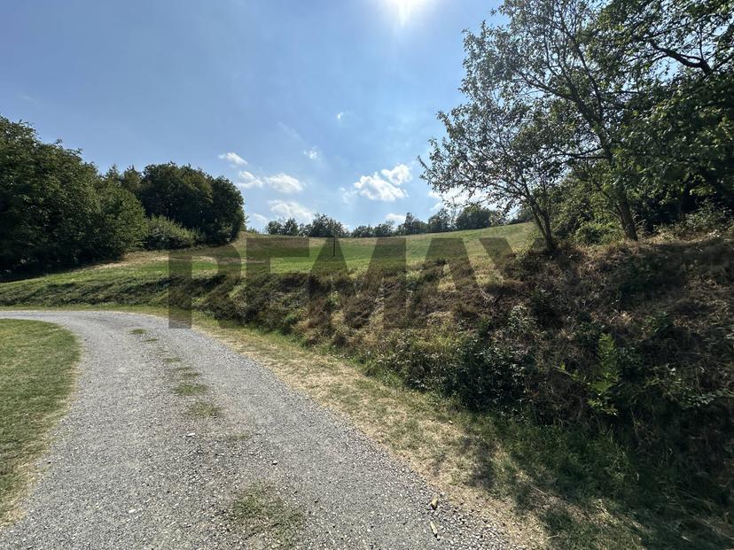 Rustico in Strada Villa Cagnotti 90, Medesano — foto 5 di 5