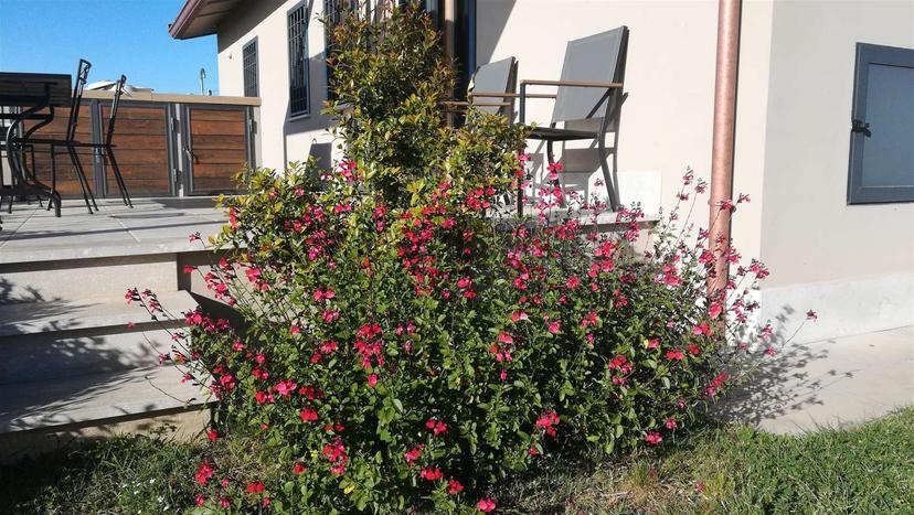 Casa indipendente, San Felice Circeo — foto 4 di 5