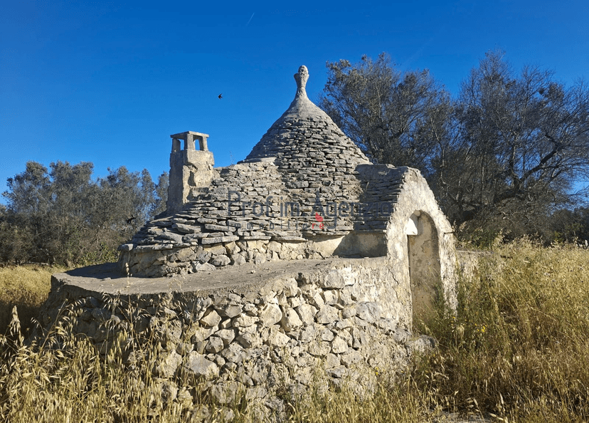 Rustico, San Vito dei Normanni — foto 3 di 5