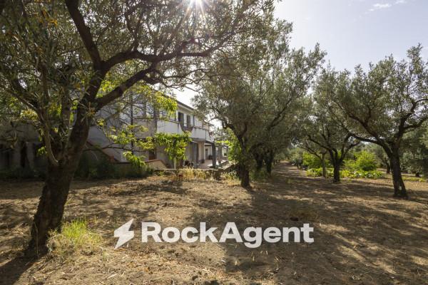 Villa in Località Zilleria, Montepaone — foto 5 di 5