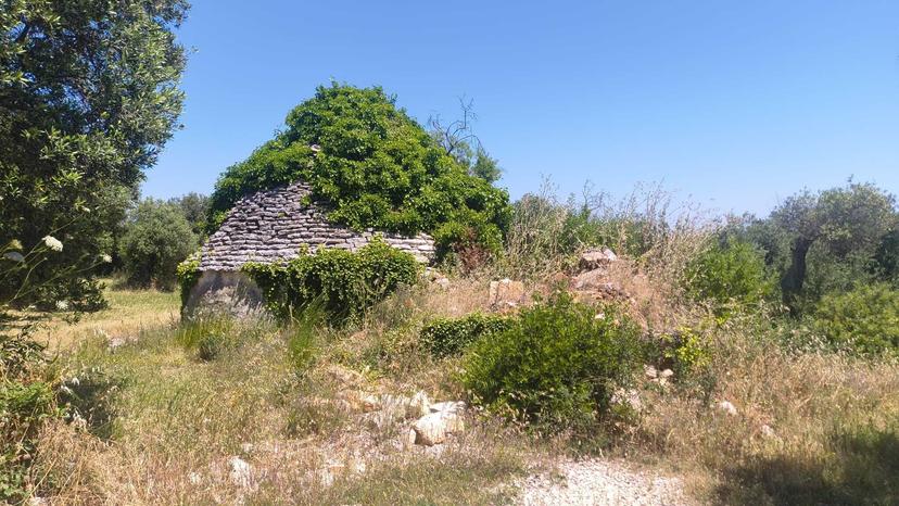Casa indipendente in Contrada Balice, Monopoli — foto 3 di 5