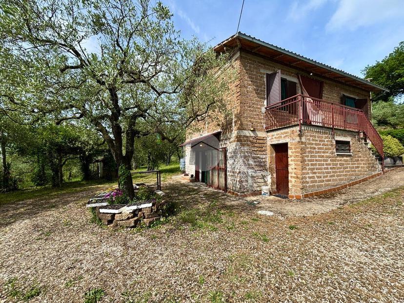 Casa indipendente in Strada S. Pietro 114, Otricoli — foto 4 di 5