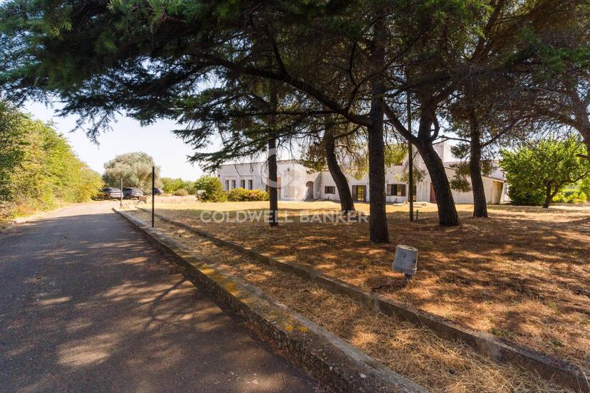 Villa in Strada Vicinale Vecchia Matera 501, Gioia del Colle — foto 3 di 5