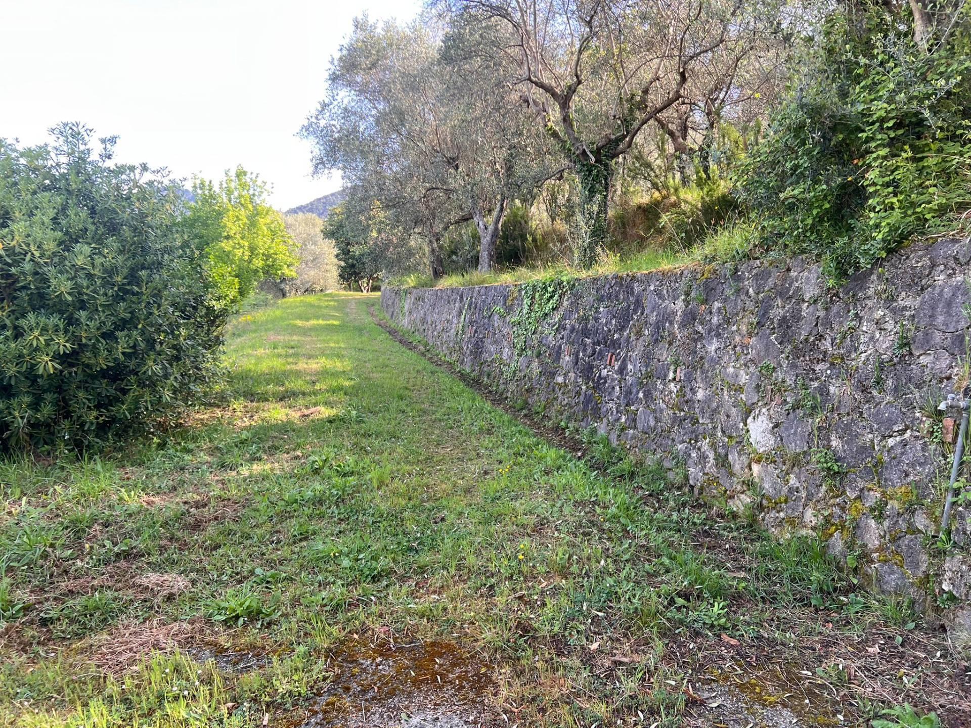 Rustico in Via Capriglia, Pietrasanta