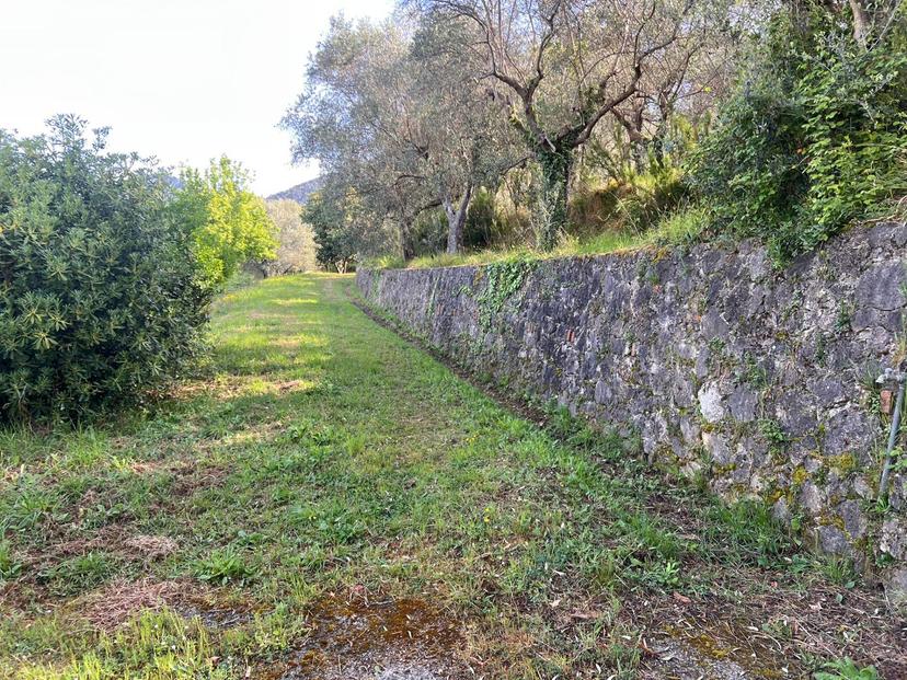 Rustico in Via Capriglia, Pietrasanta