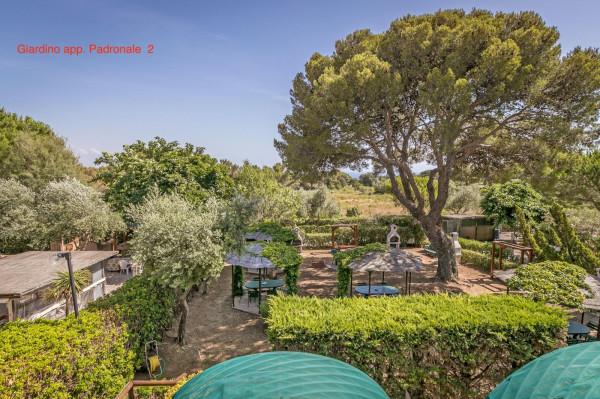 Villa bifamiliare in Via Leonardo da Vinci 11, Rosignano Marittimo — foto 5 di 5