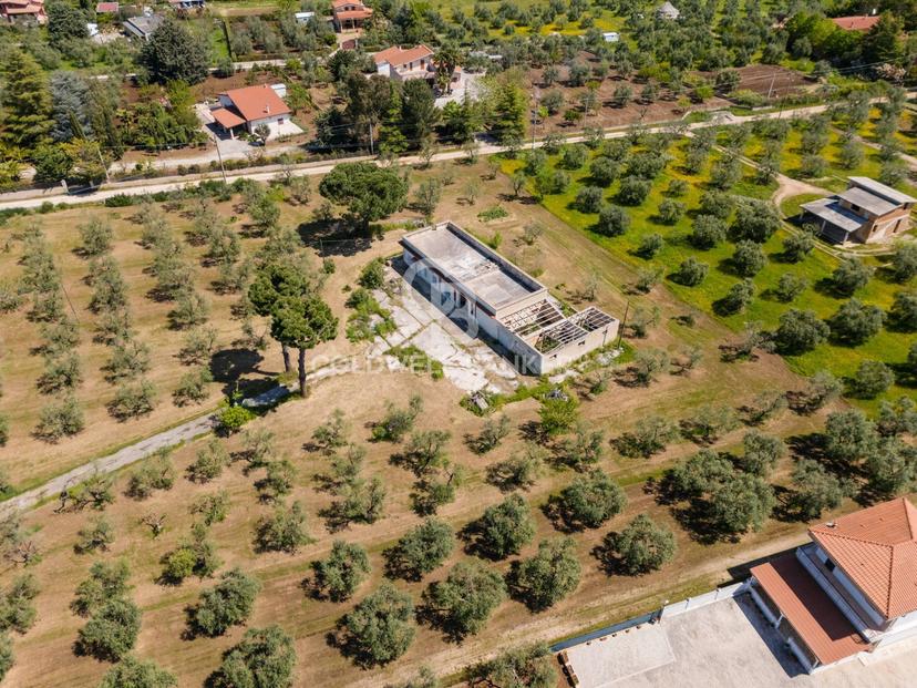 Villa in Strada Esterna Regio Bosco Comunale 13, Corato — foto 3 di 5