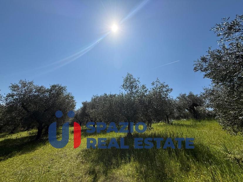 Casale in Strada Fagnano, Città Sant'Angelo — foto 2 di 5