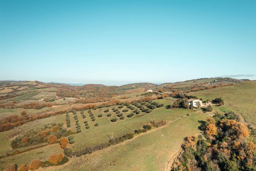 Rustico, Cinigiano — foto 4 di 5