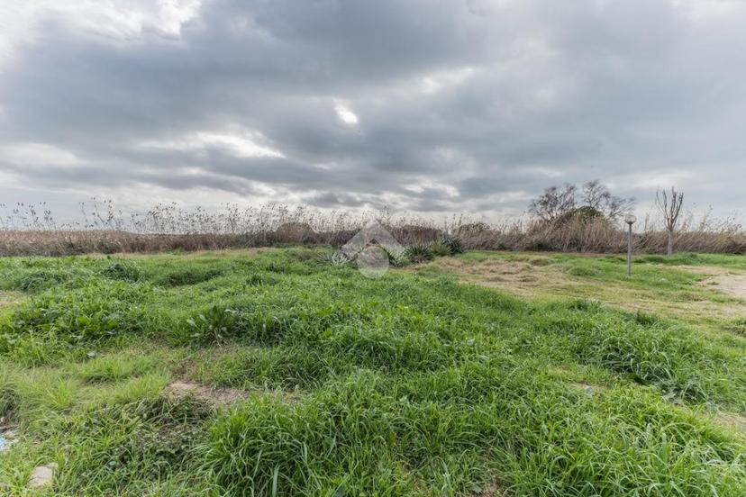 Villa in Via del Bagolaro 9, Cerveteri — foto 5 di 5
