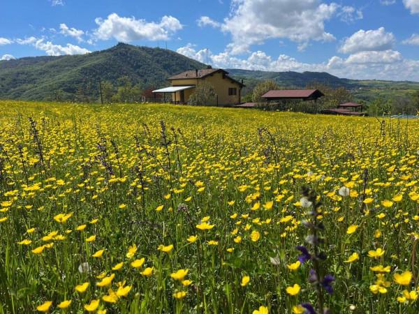 Villa in Via Puianello 260, Serramazzoni — foto 3 di 5