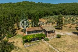 Rustico in Località Bissa, Parrano