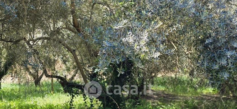 Rustico, Perugia — foto 2 di 5