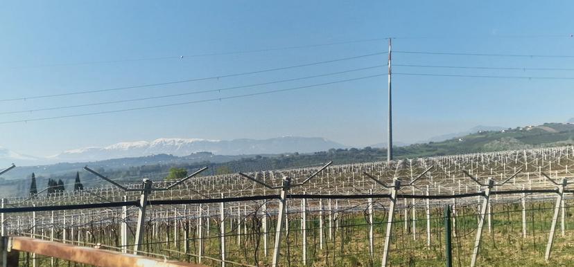 Casale in Direzione Quattro Strade Elice, Città Sant'Angelo — foto 4 di 5