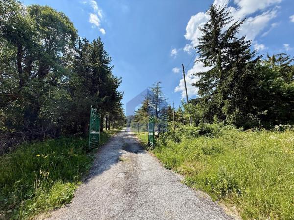 Villa bifamiliare in Strada Provinciale Istonio Sangrina, Pescopennataro — foto 4 di 5