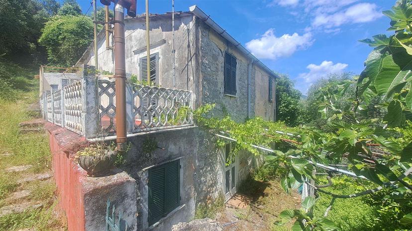 Rustico, Portovenere