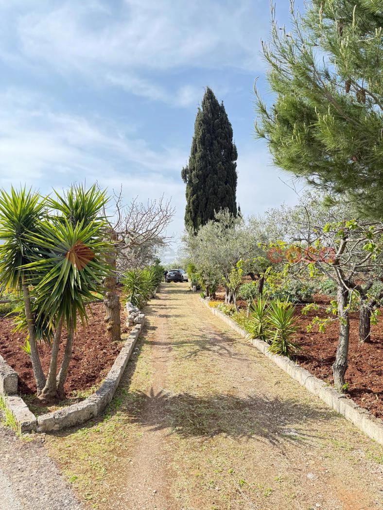 Casa indipendente in Contrada Ciporrelli 00, Monopoli — foto 3 di 5