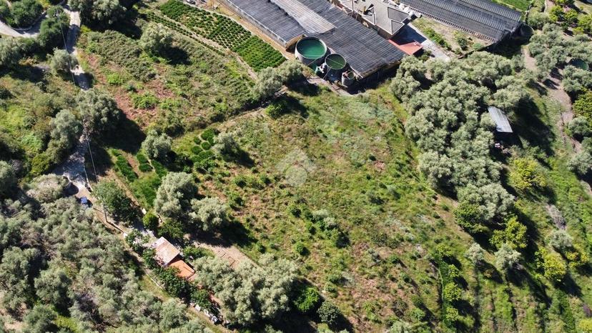 Rustico in Località Villa, Perinaldo — foto 2 di 5