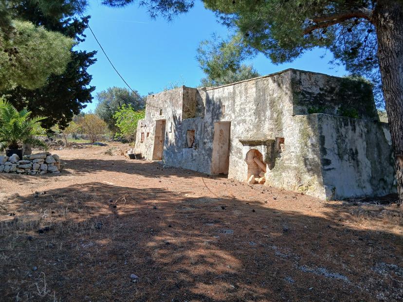 Trullo in C.da Sierri, Carovigno — foto 5 di 5
