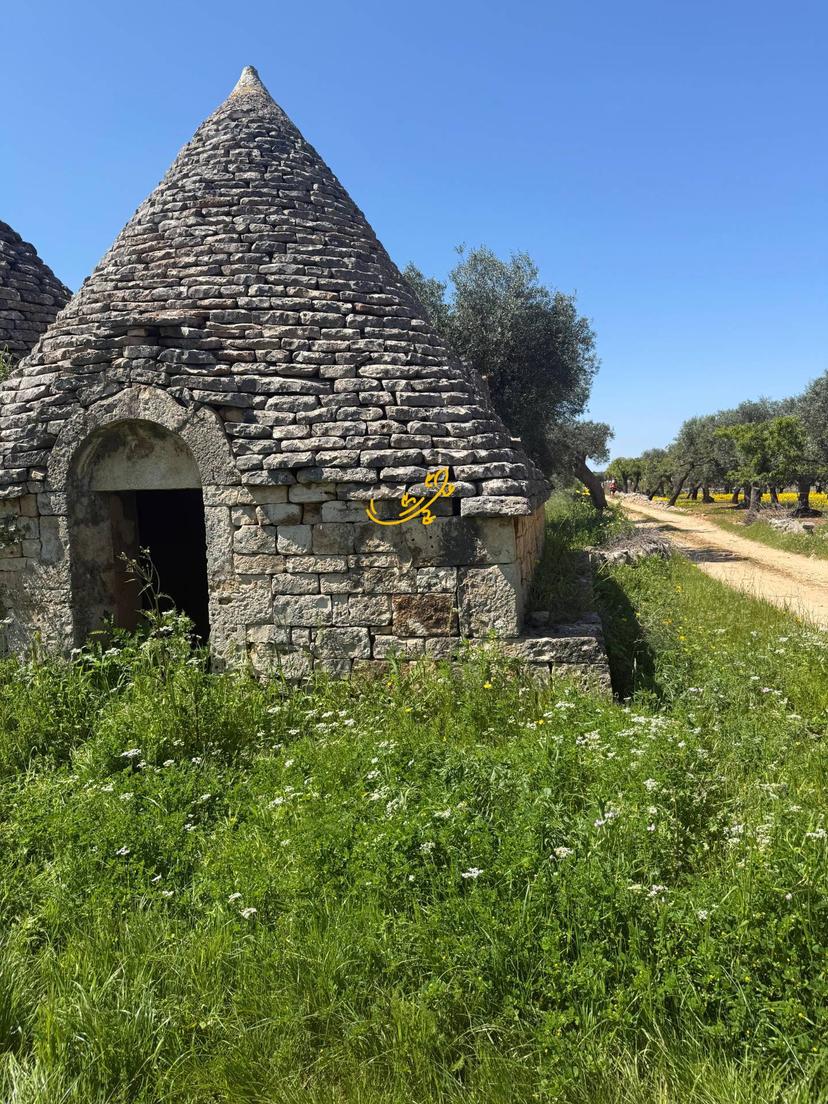 Abitazione tipica in Contrada San Pietro, Conversano — foto 3 di 5