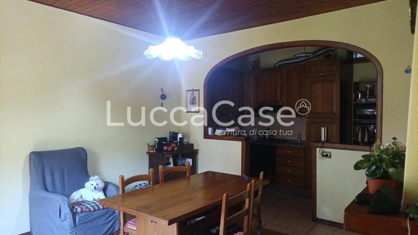 Appartamento in Ia del Palazzo 6, Fabbriche di Vergemoli — foto 3 di 5