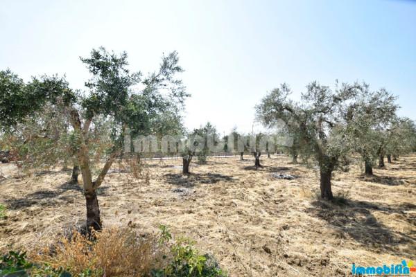 Rustico, Oria — foto 5 di 5
