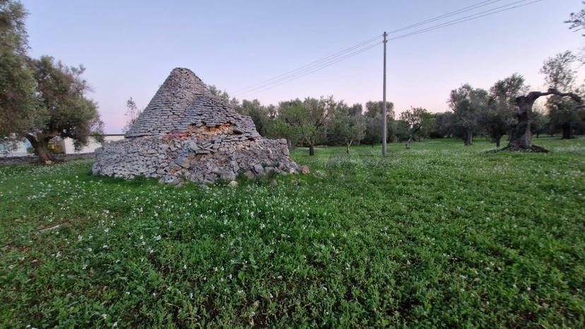Abitazione tipica in Contrada Petrelli Snc, Ceglie Messapica — foto 3 di 5