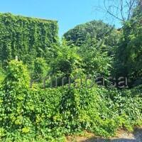 Rustico, Roverbella — foto 5 di 5