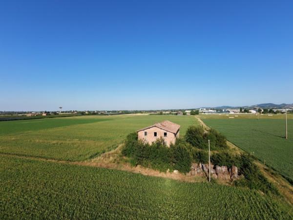 Casa colonica, Spilamberto — foto 2 di 5