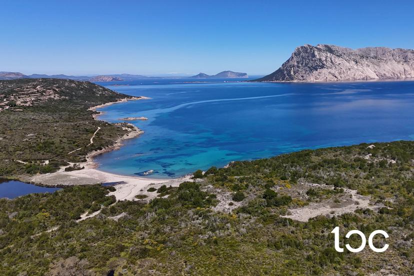 Quadrilocale, San Teodoro — foto 5 di 5