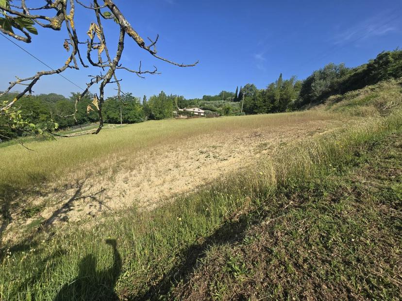 Terratetto in a S. Francesco 14, Palaia — foto 5 di 5