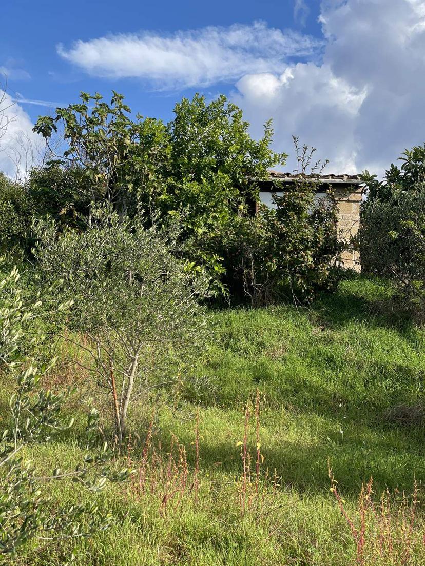 Rustico, Tuscania — foto 5 di 5