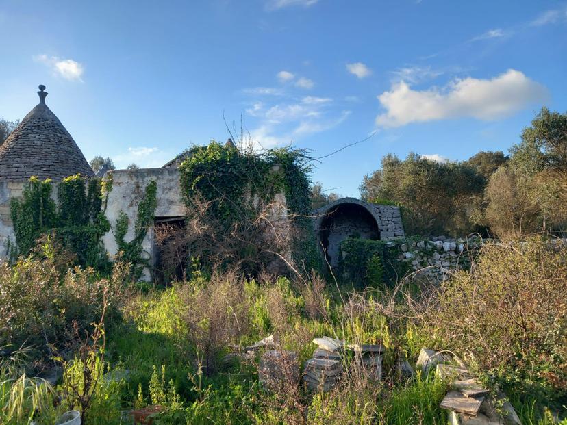 Trullo in C.da Sardella, Ceglie Messapica — foto 5 di 5