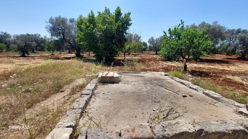 Rustico, San Vito dei Normanni — foto 4 di 5