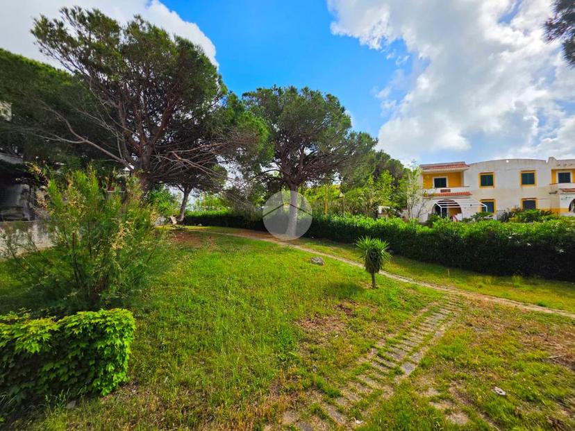 Trilocale in Contrada Vannefora 54, San Nicola Arcella — foto 5 di 5