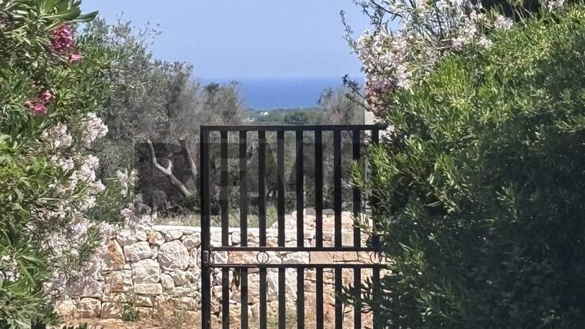 Rustico, Carovigno — foto 2 di 5
