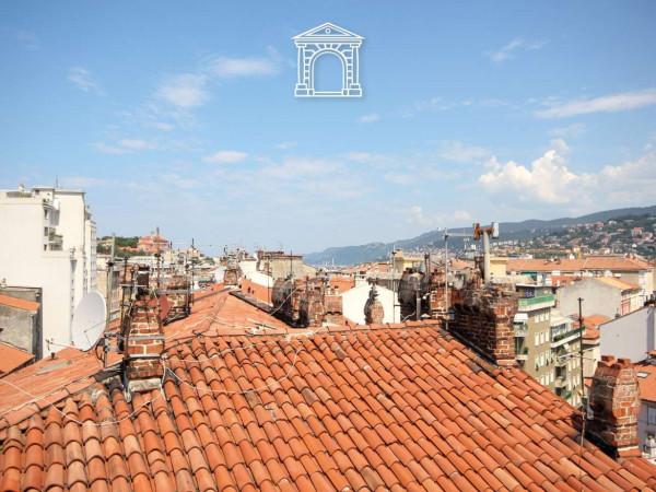 Trilocale, Trieste
