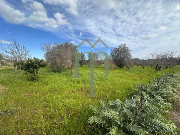 Villa, San Vito dei Normanni — foto 5 di 5