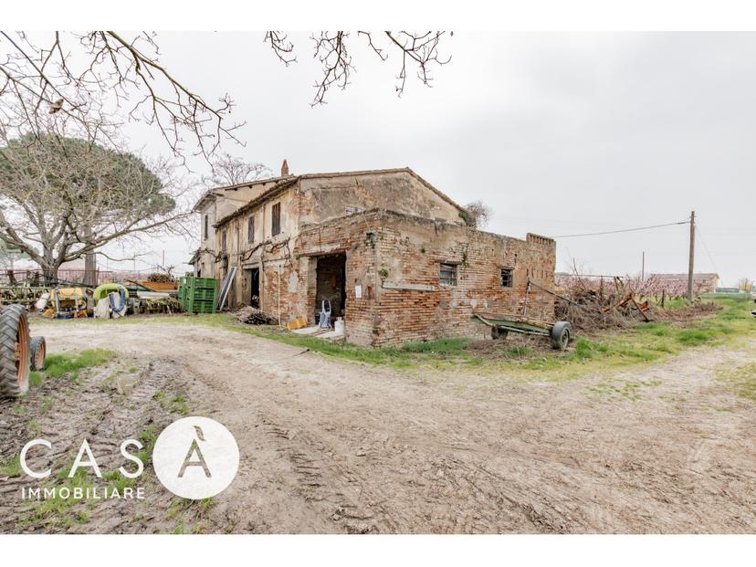 Rustico in Via Malvasia, Gambettola — foto 5 di 5