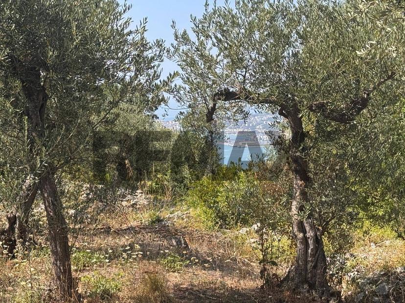 Rustico, Formia — foto 2 di 5