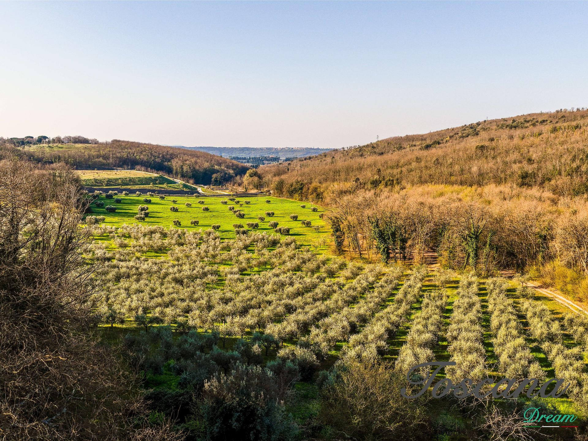 Rustico in Località Niccioleta Vecchia  Snc , Massa Marittima