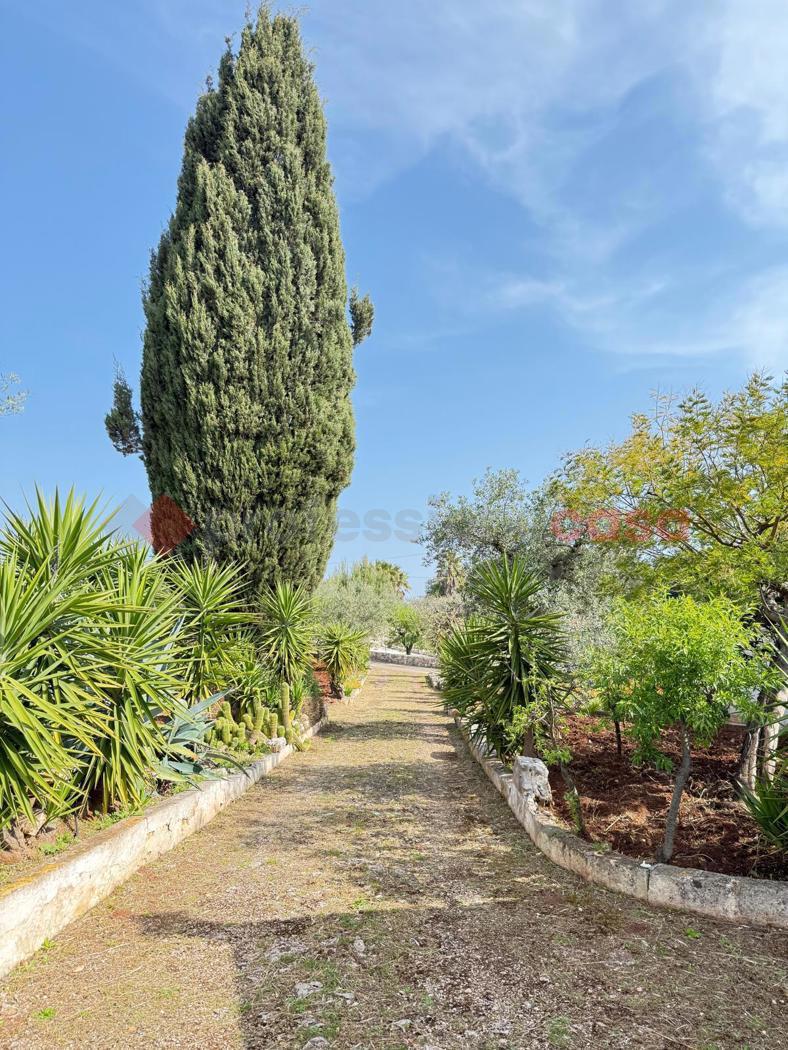 Casa indipendente in Contrada Ciporrelli 00, Monopoli — foto 2 di 5