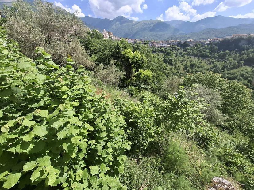 Cascina in Via Borgo Loreto 3, Campoli Appennino — foto 5 di 5