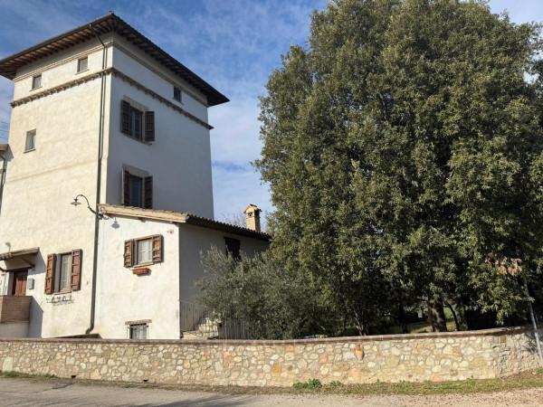 Terratetto unifamiliare in Via San Francesco, Spoleto — foto 5 di 5