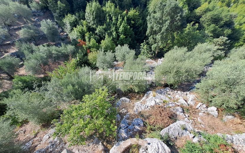 Villa in Via Velosca, Sonnino — foto 5 di 5