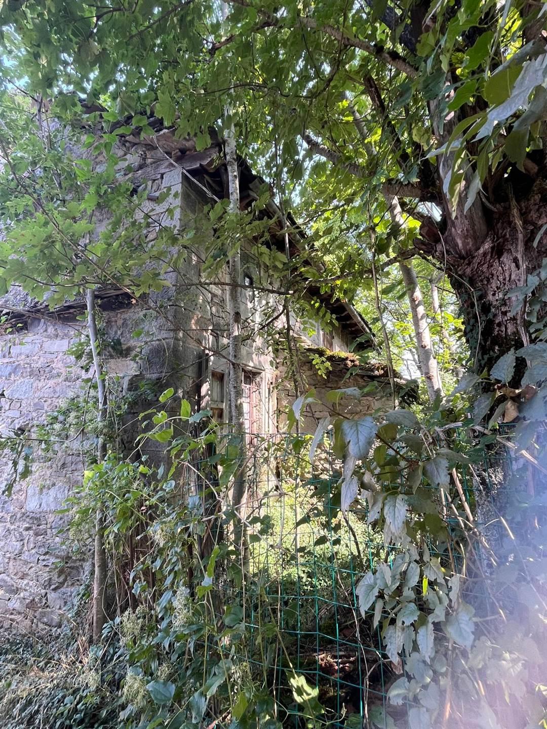 Rustico, Pievepelago