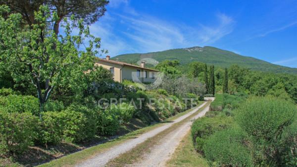 Casale in Località Borgo Matera, Cetona — foto 4 di 5