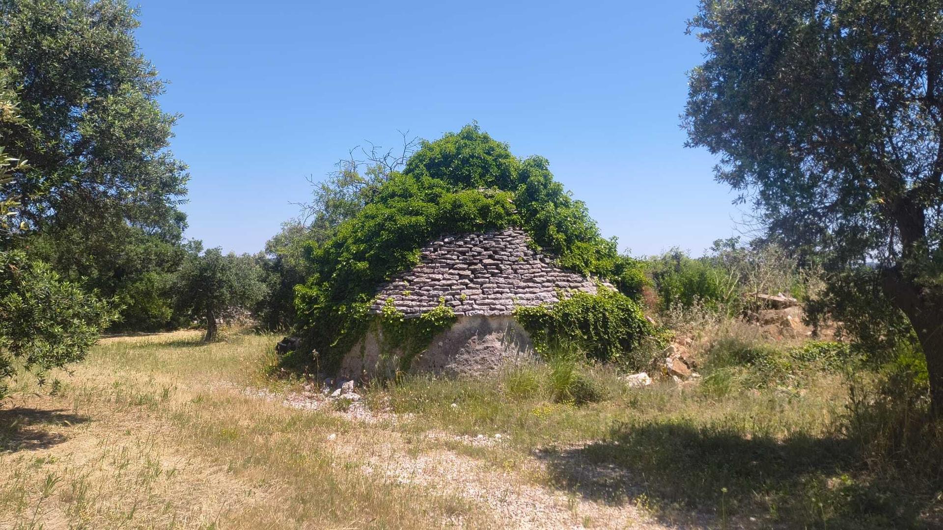 Casa indipendente in Contrada Balice, Monopoli
