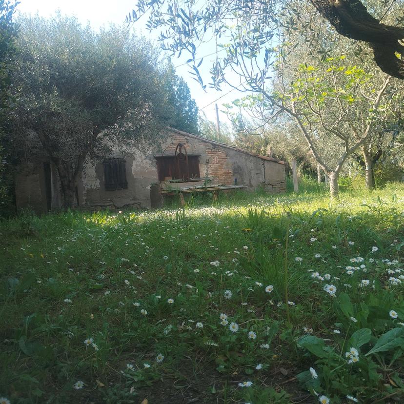 Casa indipendente in Via Piva, San Giovanni in Marignano — foto 3 di 5